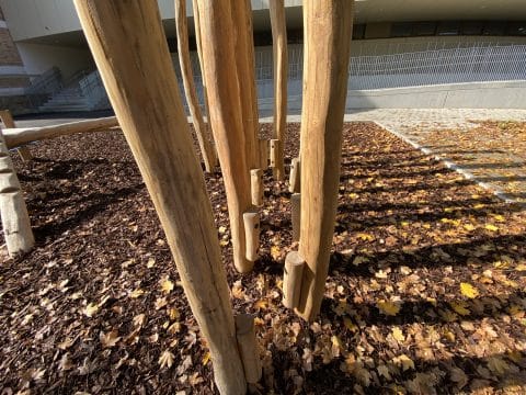 Robinienholzstämmen mit Tritthölzer in verschiedenen Höhen montiert in der Schule