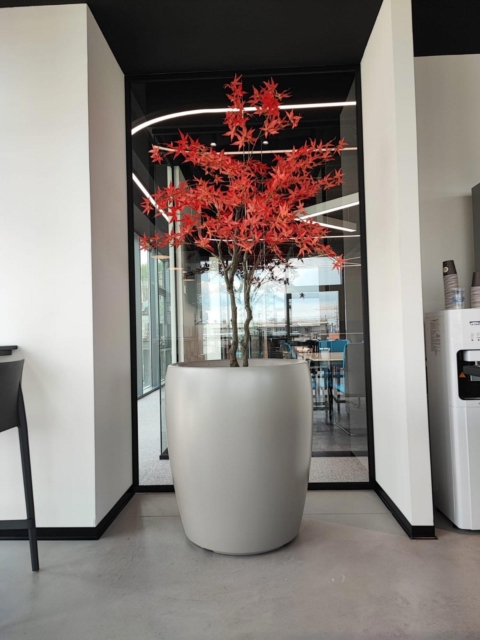 Großer Design Pflanzkübel innen